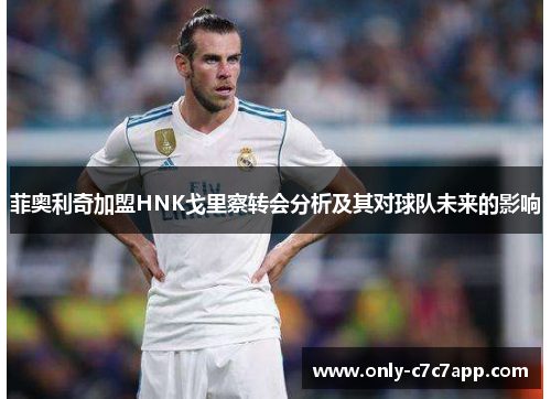 菲奥利奇加盟HNK戈里察转会分析及其对球队未来的影响 菲奥利奇加盟HNK戈里察转会分析及其对球队未来的影响