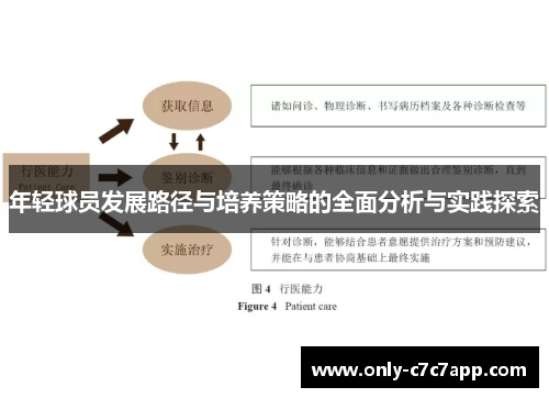 年轻球员发展路径与培养策略的全面分析与实践探索