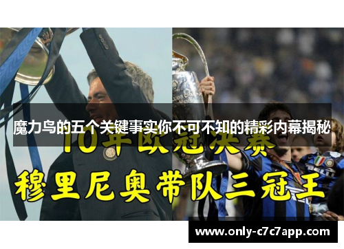 魔力鸟的五个关键事实你不可不知的精彩内幕揭秘 魔力鸟的五个关键事实你不可不知的精彩内幕揭秘