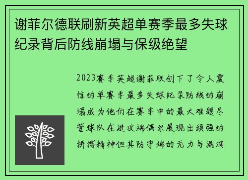 谢菲尔德联刷新英超单赛季最多失球纪录背后防线崩塌与保级绝望 谢菲尔德联刷新英超单赛季最多失球纪录背后防线崩塌与保级绝望